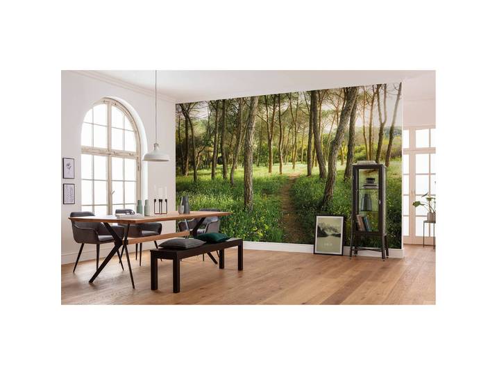 Papier peint intissé Floraison enchantée 450 x 280cm