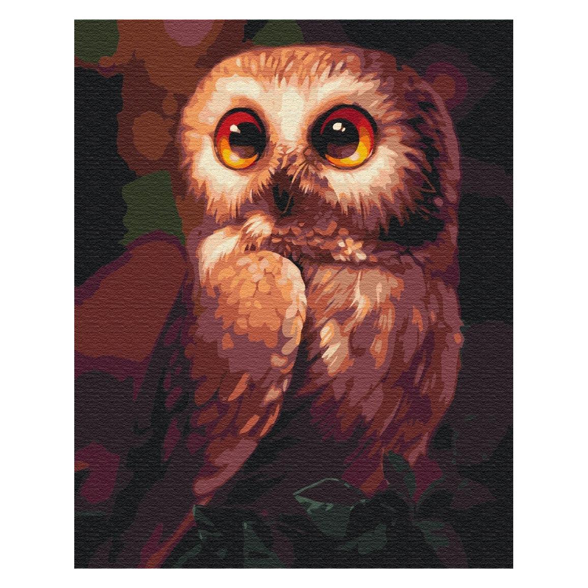 Syma Picture Paint it! Painting by numbers Owl (BS51861)
