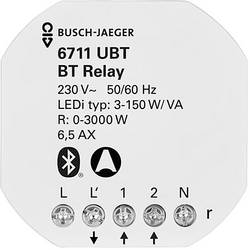 Busch-Jaeger 2CKA006710A0025 1 St.