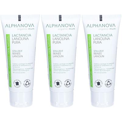 Alphanova Santé lanoline pure naturelle 40 ml x3 3x40 Creme