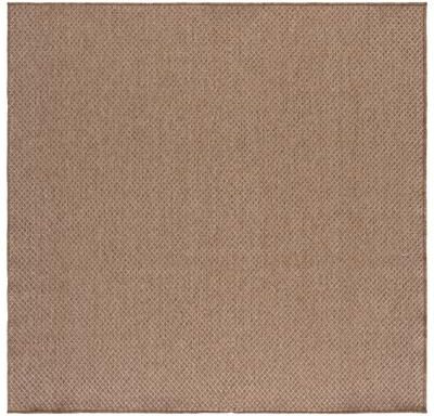 SAFAVIEH Sisal Performance Joselyne Washable Indoor/Outdoor Rug - Weather Resistant & Easy Cleaning
