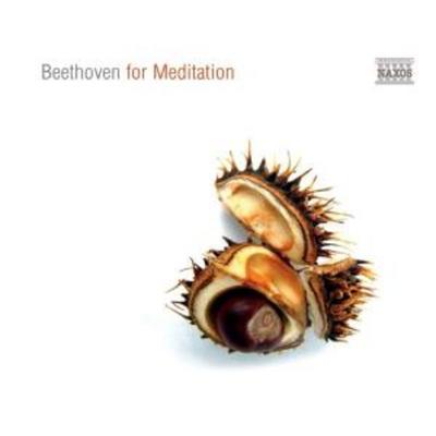 Beethoven For Meditation - Ludwig van Beethoven, CD, 0747313090570