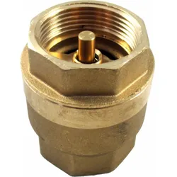Wolf Rückschlagventil IG 1 1/4" PN10 2071457 für LS, SLS, FWS