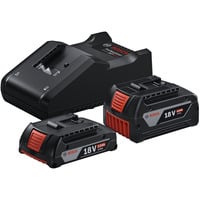 Starter-Set 18V (GBA 18V 4,0/2,0Ah + GAL 18V-40 Professional) schwarz, 2x Li-Ionen Akku, AMPShare Alliance