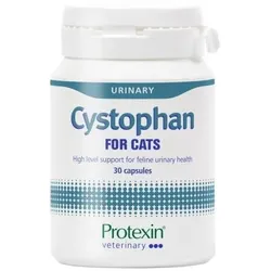 PROTEXIN Cystophan 30 Kapseln