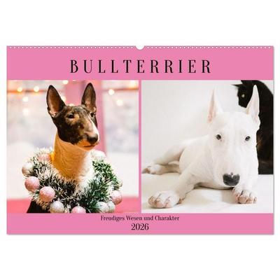 Bullterrier. Freudiges Wesen und Charakter (Wandkalender 2026 DIN A2 quer), CALVENDO Monatskalender