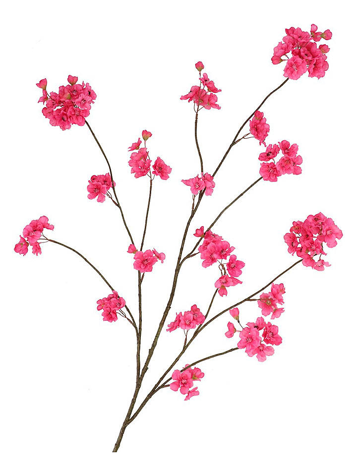 daan kromhout Dekozweig "Cherry Blossom" in Pink - (H)126 cm - onesize