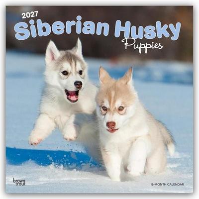 Siberian Husky Puppies – Siberian Husky Welpen 2027 – 16-Monatskalender