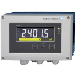 Endress+Hauser RIA46-B1B1A Anzeige für Sensoren RIA46 1 St.
