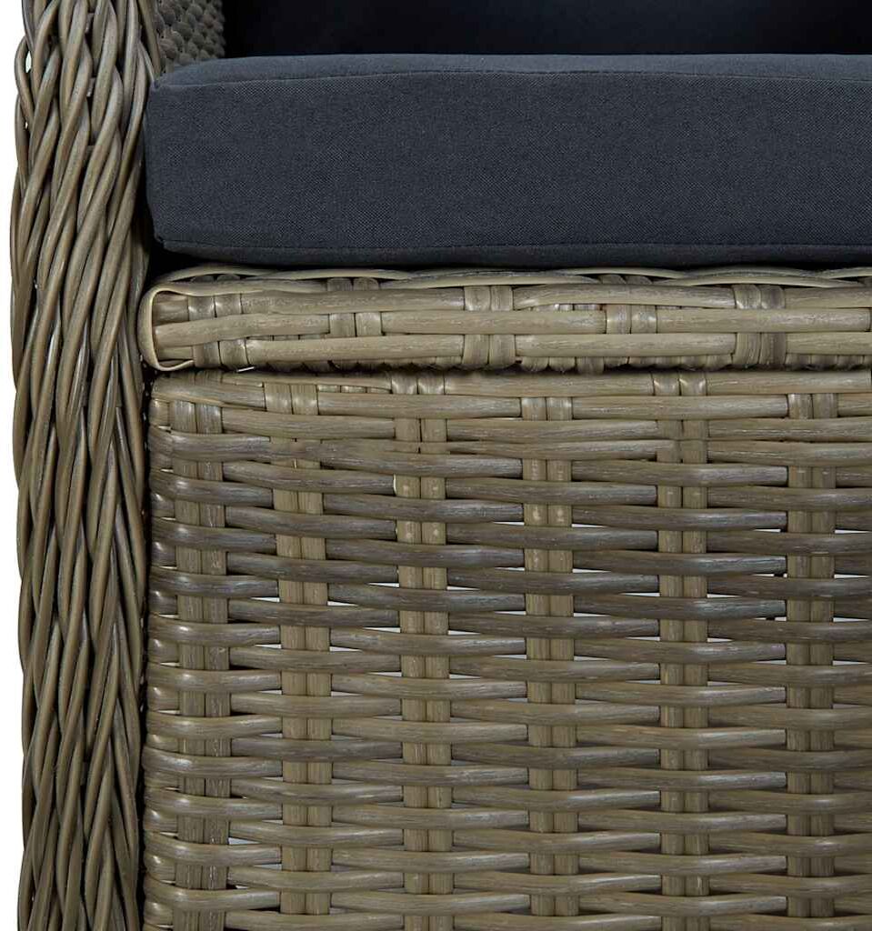 vidaXL Sillón reclinable de jardín con cojines ratán sintético marrón Marrón