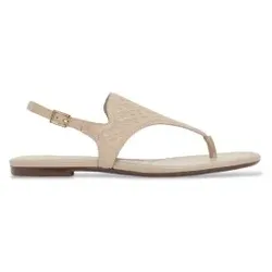 A|X Armani Exchange für Damen. XW002572AF22796U6223 Sandalen Pack beige (37), Wohnung, Schnalle, Lässig, Klassisch