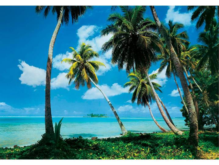 Fototapete PAPERMOON Tahiti , bunt, B:1,5m L:1,11m, Vlies, Tapeten, Fototapete