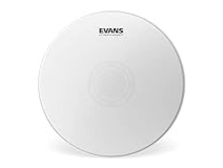 Evans Heavyweight Coated Peau Caisse Claire 14 Pouces