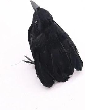 Inspired Finds Realistic Black Feathered Crow Halloween Decoration looking Up Crow 3pcs