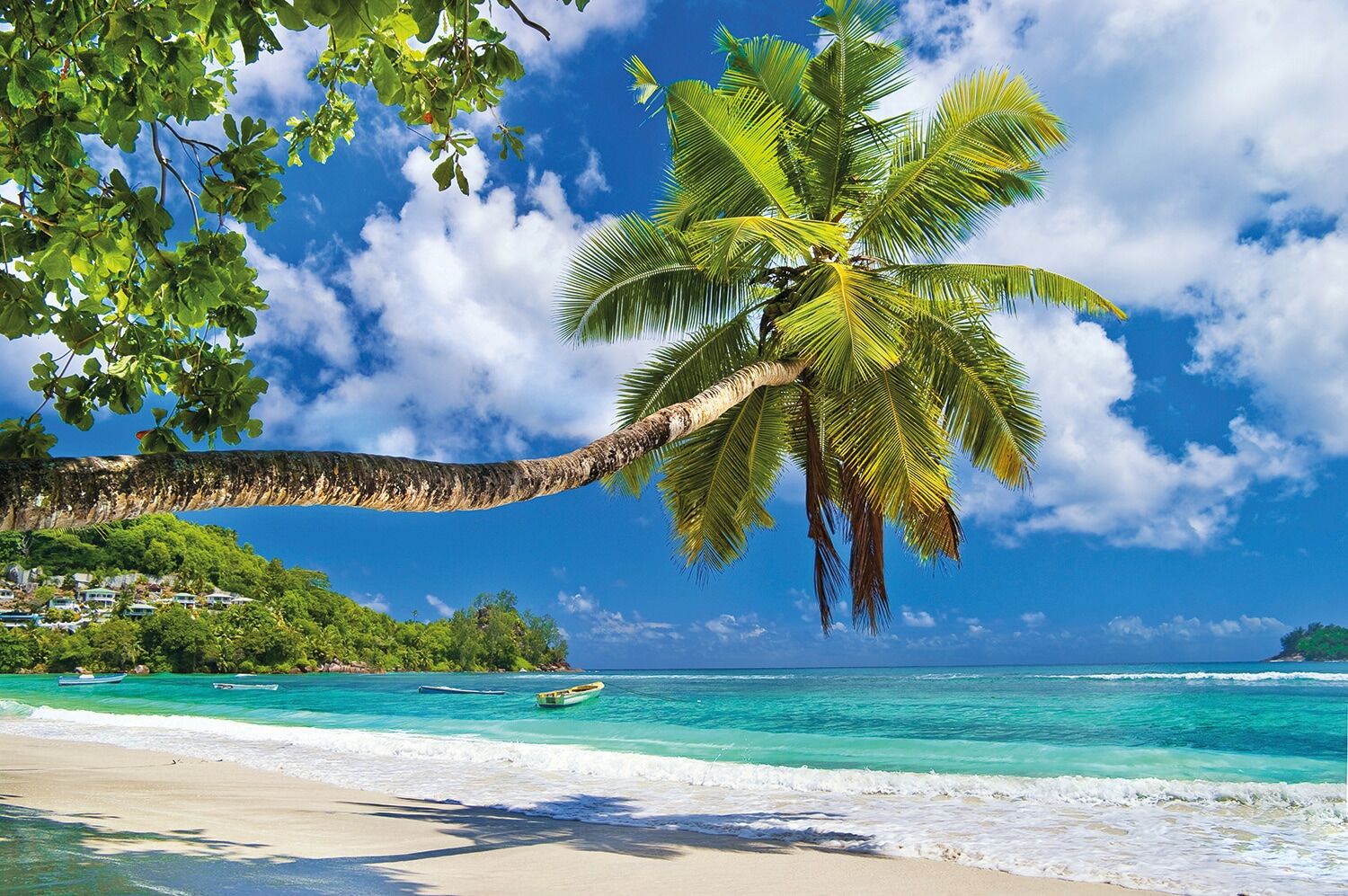 Fototapete PAPERMOON "Seychelles Palm Beach", bunt (blau), B:350m L:260m, Vlies, Tapeten, Fototapete blau B/L: 350m x 260m, Bahnen: 7 Stk.