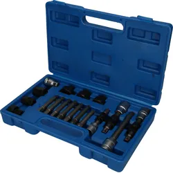 Brilliant Tools Lichtmaschinen Bit- und Steckschlüssel-Satz, 18-tlg - BT571020