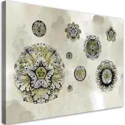WANDBILD florale geometrische formen