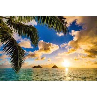 Fototapete PAPERMOON "STRAND-PALMEN SONNENUNTERGANG MEER KARIBIK INSEL PALME", bunt, B:3m L:2,23m, Vlies, Tapeten