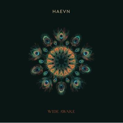 Wide Awake, 1 Schallplatte - HAEVN, Sonstige