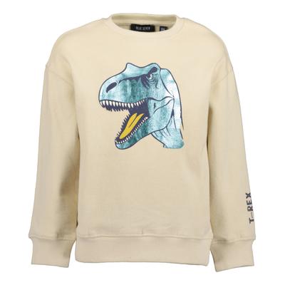 Sweater BLUE SEVEN "Sweatshirt", Jungen, Gr. 104, beige (0490, kiesel), 100% Baumwolle, normal normal, Rundhals, gerader Abschluss, Sweatshirts Sweater