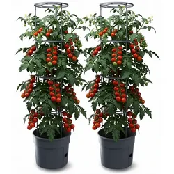 2er Set Anzuchttopf Tomatentopf Rankhilfe für Tomate Gemüse Kunststoff 39,2cm