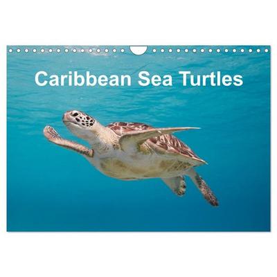 Caribbean Sea Turtles (Wall Calendar 2027 DIN A4 landscape), CALVENDO 12 Month Wall Calendar