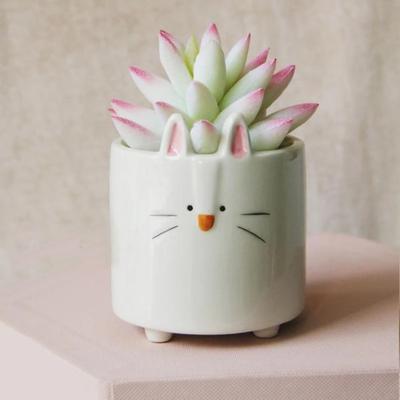 HomeDecorAndMore LLC Cartoon Animal Shaped Ceramic Flower Pots Cat