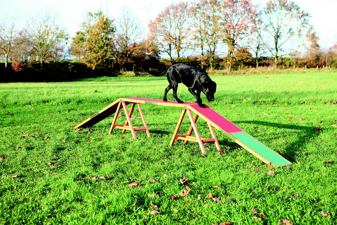 TRIXIEHEIMTIERBEDARF Dog Activity Agility Steg, 456 64 30 cm 08742415