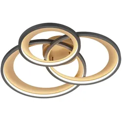 Trio LED-Deckenleuchte Granada Alu, Eisen, Stahl & Metall Gold, Schwarz Gold /