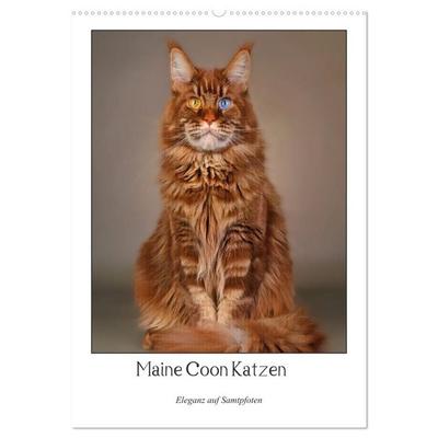 Maine Coon Katzen. Eleganz auf Samtpfoten (Wandkalender 2027 DIN A2 hoch), CALVENDO Monatskalender