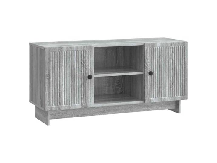 Roanoer TV-Schrank 102x34,5x50 cm Lowboard Grau Sonoma Holzwerkstoff Kompaktes TV-Möbel für Wohnzimmer und Schlafzimmer mit 2 Pendeltüren, verstellbarem Einlegeboden und Metallgriffen.