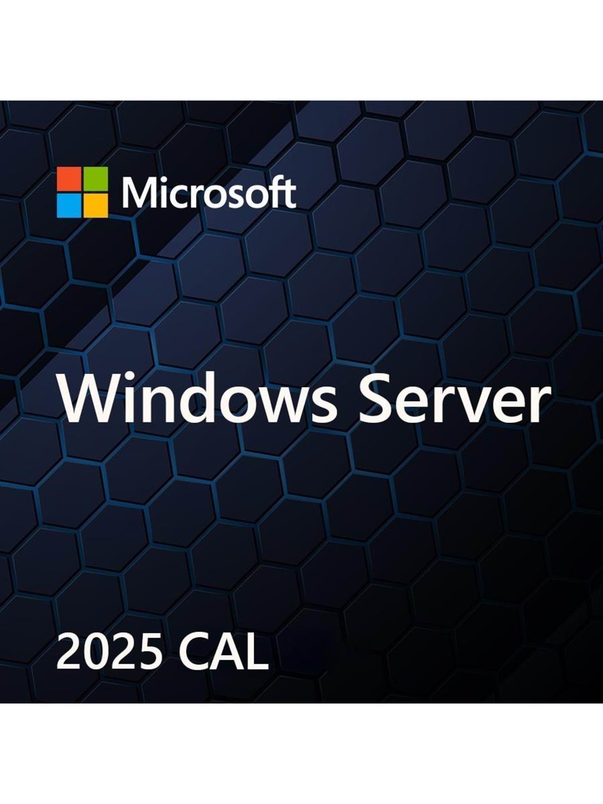 Microsoft Windows Server 2025 Standard - Polieren
