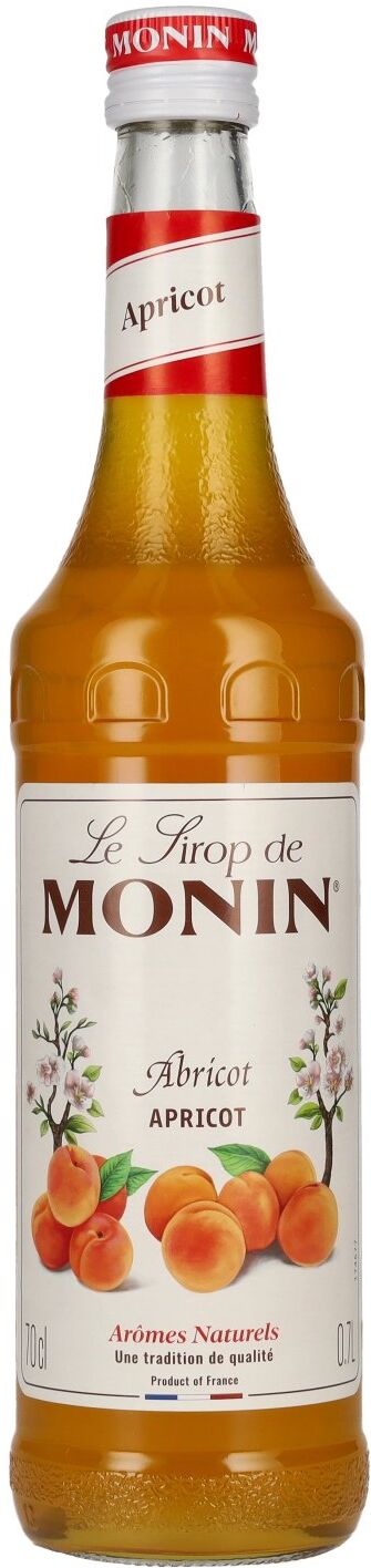 Le Sirop de Monin APRIKOSE 0,7l