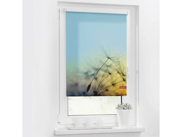 Klemmfix-Rollo Pusteblume 120 x 150cm Blau