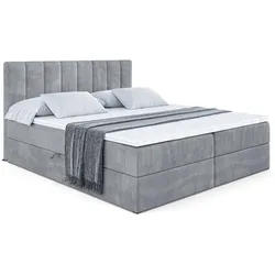 BOXBETT mit Matratze H3 - OTTA - 160x200 cm Grau