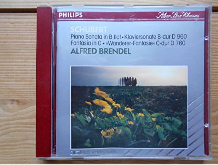 Schubert: Piano Sonata D960 / Wanderer-Fantasie D760
