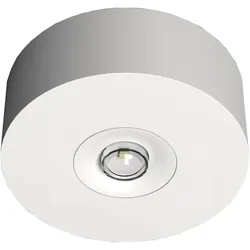 RP-Technik LED-Sicherheitsleuchte EARL423SC