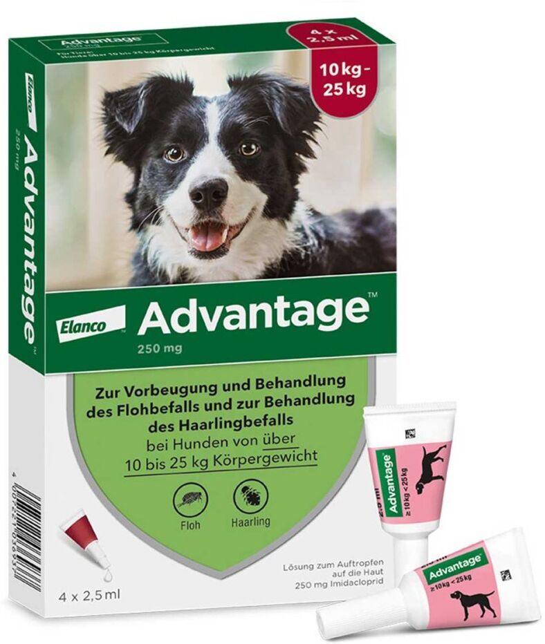 Advantage Spot-On für Hunde von 10 bis 25 kg Körpergewicht
