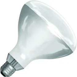 SPL | IR-Lampe R-Lampe/Reflektorlampe | Große Fassung E27 | 375W