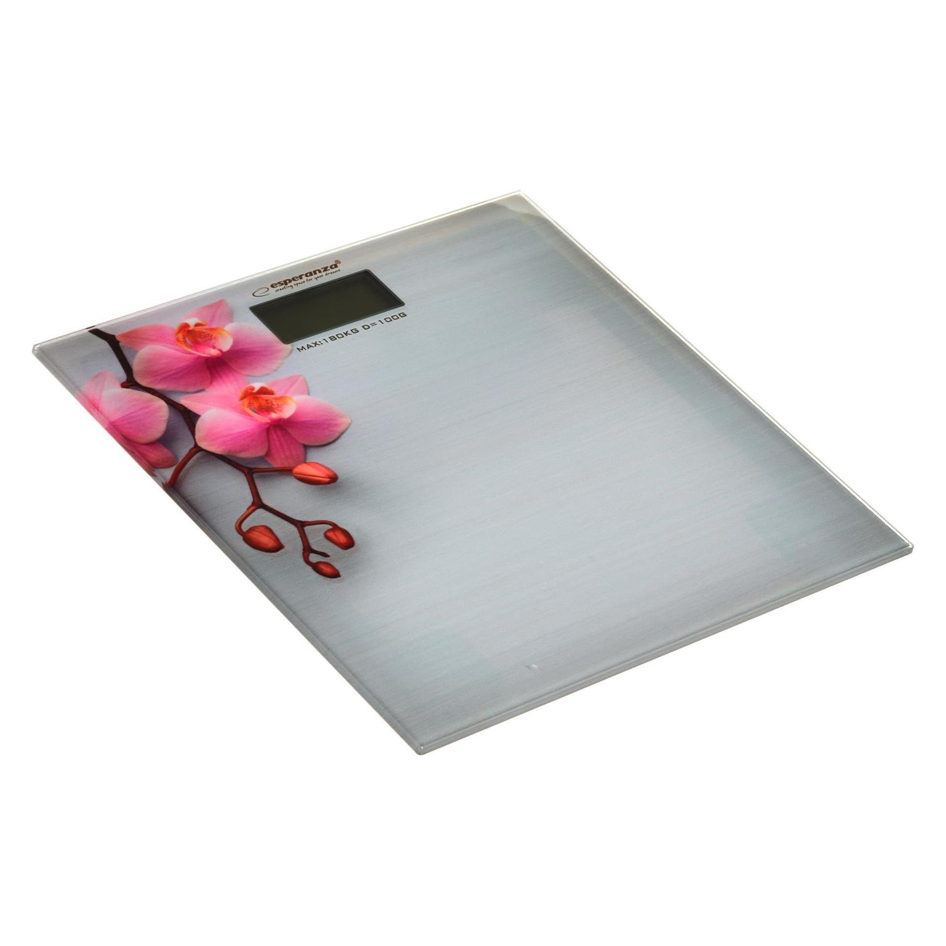 Esperanza Weighing scale bathroom Orchid EBS010 (pilka color) (180 kg) (EBS010)