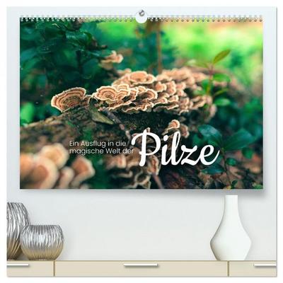 Ein Ausflug in die magische Welt der Pilze (hochwertiger Premium Wandkalender 2026 DIN A2 quer), Kunstdruck in Hochglanz