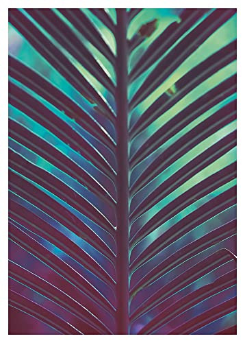 Komar Hide Kunstdruk Poster - Multicolour - 50 x 70 cm