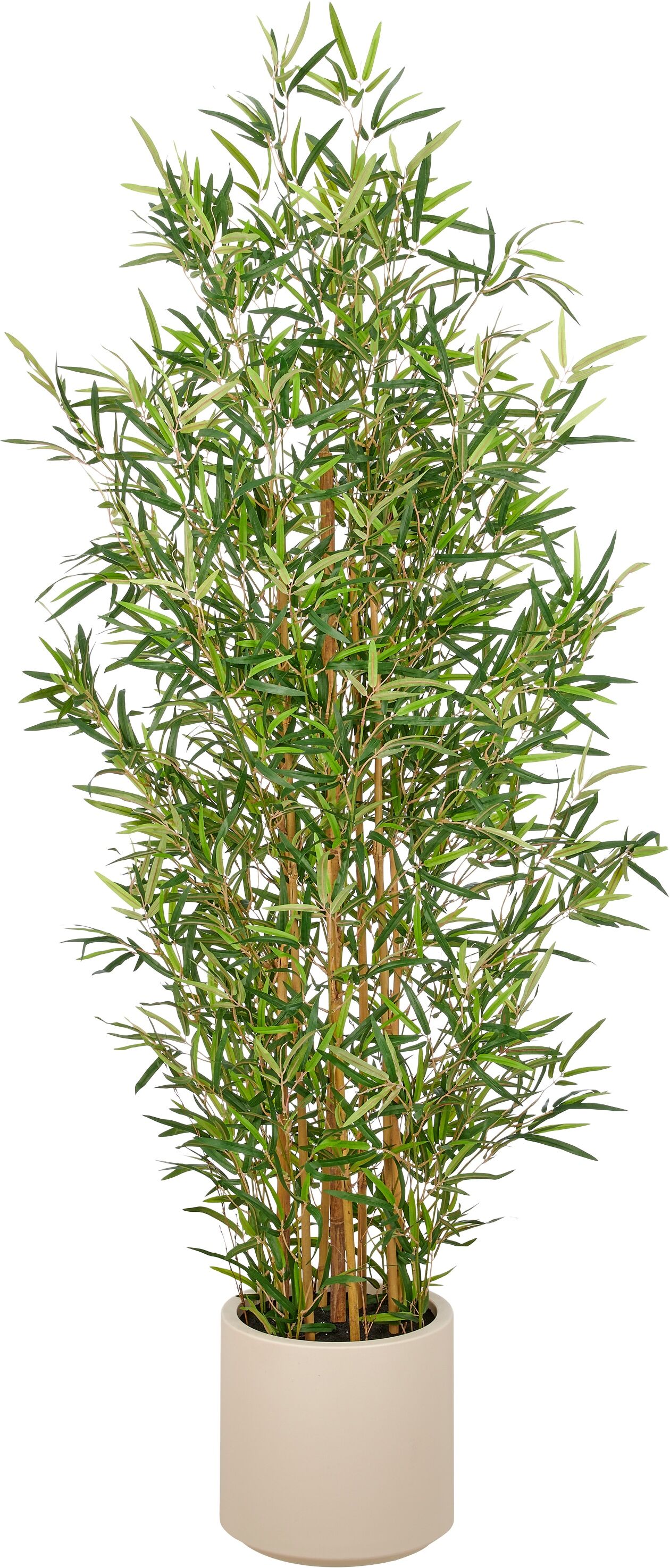 Kunstbambus CREATIV GREEN "Bambus fargesia", grün, H:170cm, Obermaterial: 75% Polyester, 25% Kunststoff, Kunstpflanzen, mit naturgetreuem Blattwerk