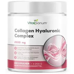 VitaSanum® Collagen Hyaluronic Complex – 2500 mg Tagesportion (2,5 g)