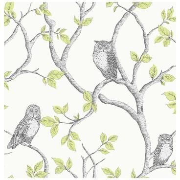 Fine Decor Linden Green Owl Wallpaper - 20.5 x 396 x 0.025