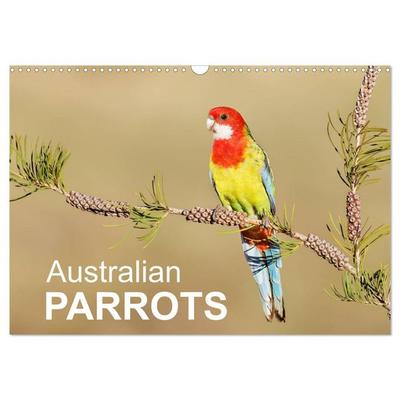 Australian Parrots (Wall Calendar 2026 DIN A3 landscape), CALVENDO 12 Month Wall Calendar