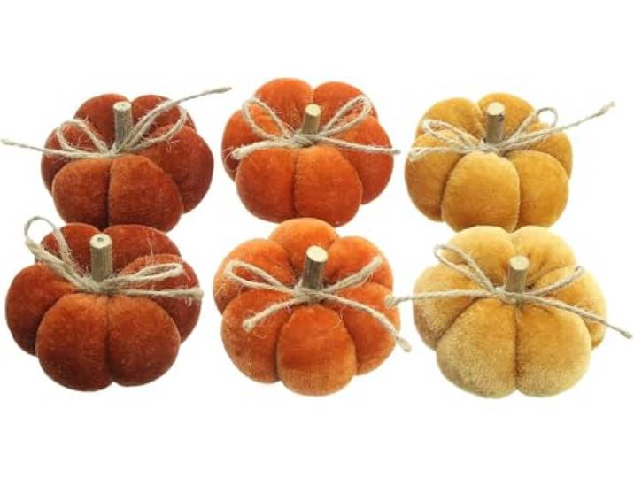 FRANK FLECHTWAREN Kürbis Herbstfarben, 6er Set