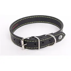 Martin Sellier Flash (Hund, Spazieren), Halsband + Leine
