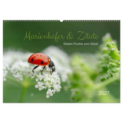 Marienkäfer & Zitate - Sieben Punkte zum Glück (Wandkalender 2027 DIN A2 quer), CALVENDO Monatskalender