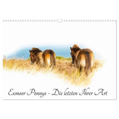 Exmoor Ponnys - Die letzten Ihrer Art (Wandkalender 2027 DIN A3 quer), CALVENDO Monatskalender